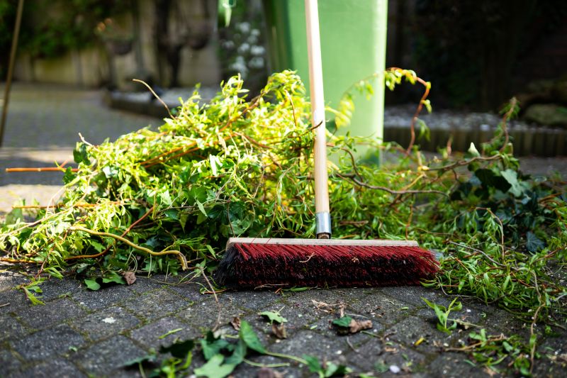 Yard Debris Removal Service