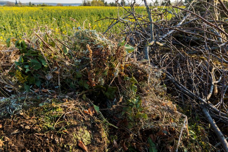 Mulching and Recycling