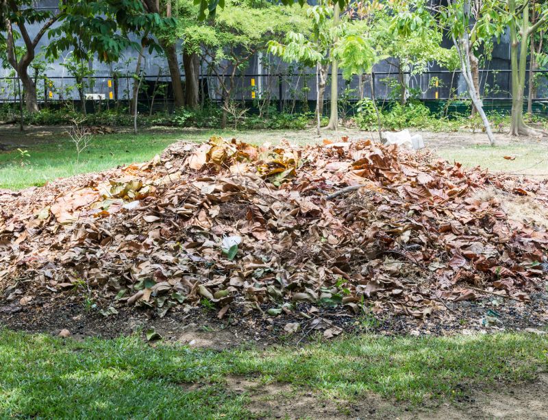 Optimal Season for Yard Cleanup