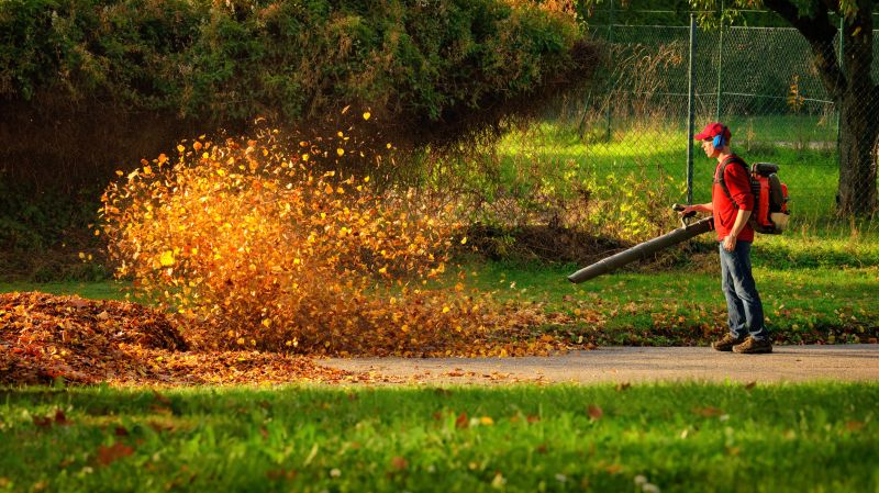 Why Fall And Spring Are The Best Times For Lawn Clean Up
